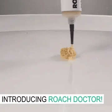 Cockroach Killing Gel